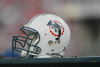 Miami dolphins 