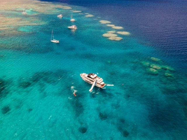 2025 The British & Irish Lions official ticket package with Great barrier reef excursion.jpg