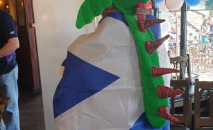 France V Scotland 2019
