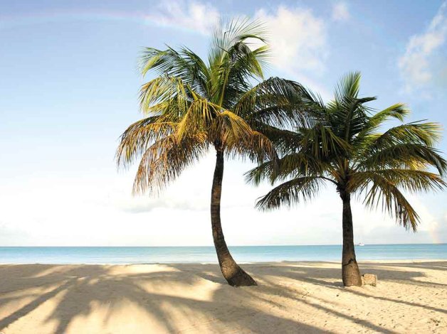 West Indies 