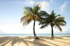 West Indies 