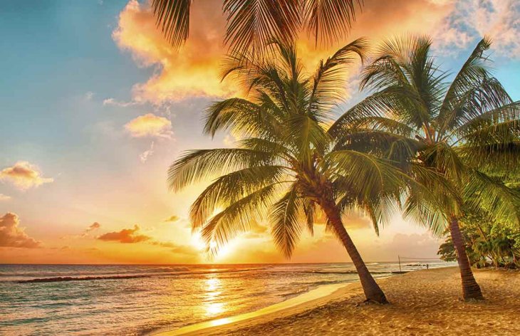 Beach sunset barbados 