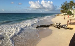 1st Test – Barbados