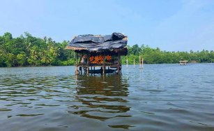 2nd Test - Boat Safari