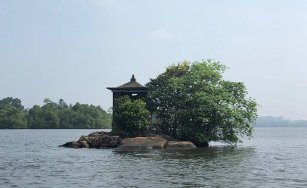 2nd Test - Boat Safari
