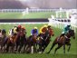 Cheltenham Festival hospitality ticket packages to experience the pinnacle of jump racing 2025 image