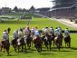 Cheltenham Festival hospitality packages to experience the pinnacle of jump racing 2025 image