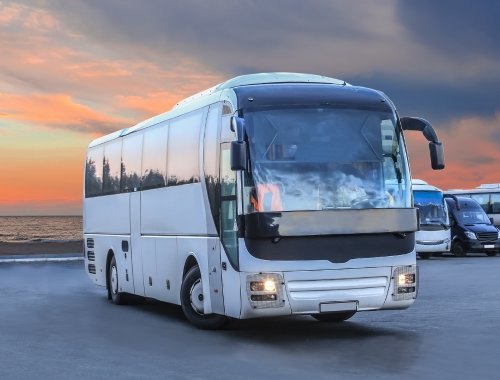 Coach - Coach transfers are included in your British & Irish Lions 2025 travel package
