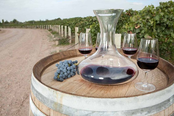 Mendoza wine, Argentina 
