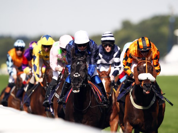 Race day inclusions