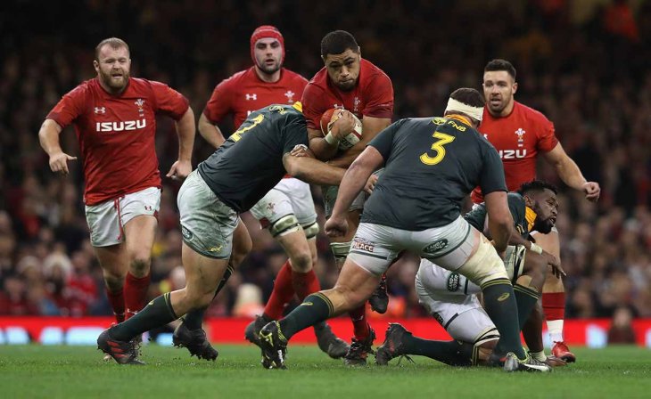 South Africa rugby 