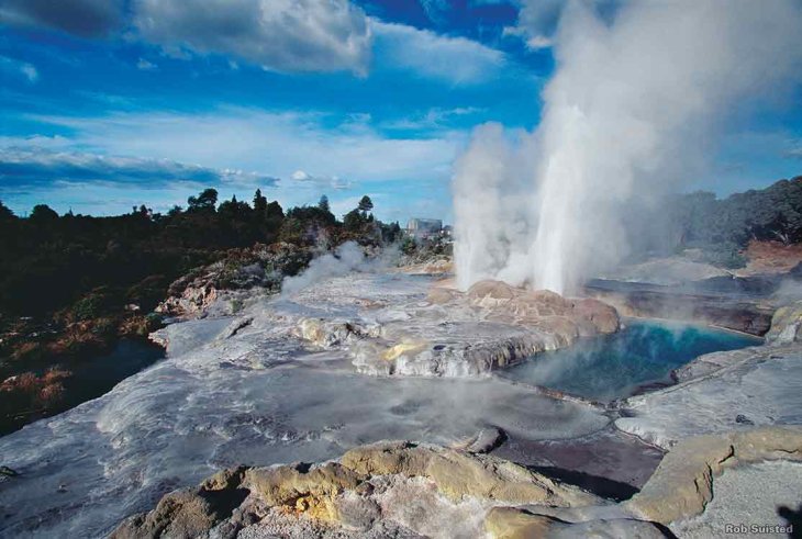 Geysers at whakarewarewa, New Zealand 