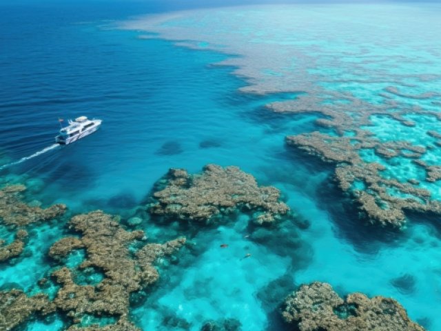 Great Barrier Reef superyacht sightseeing excursion in Australia - The British & Irish Lions 2025 ticket package image