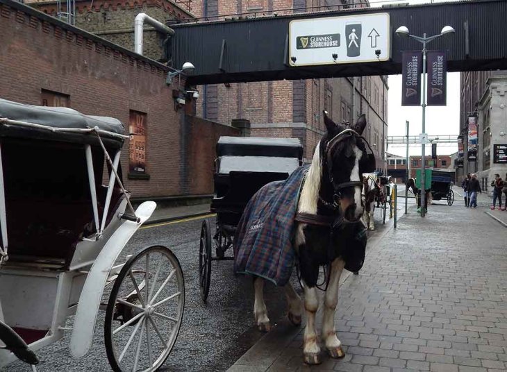 The Guinness Storehouse