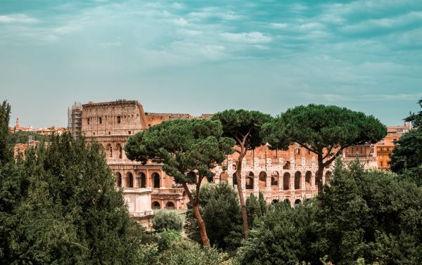 Colosseum Tours