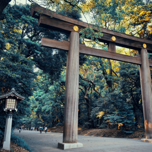 Meiji Jingu Ichino Torii