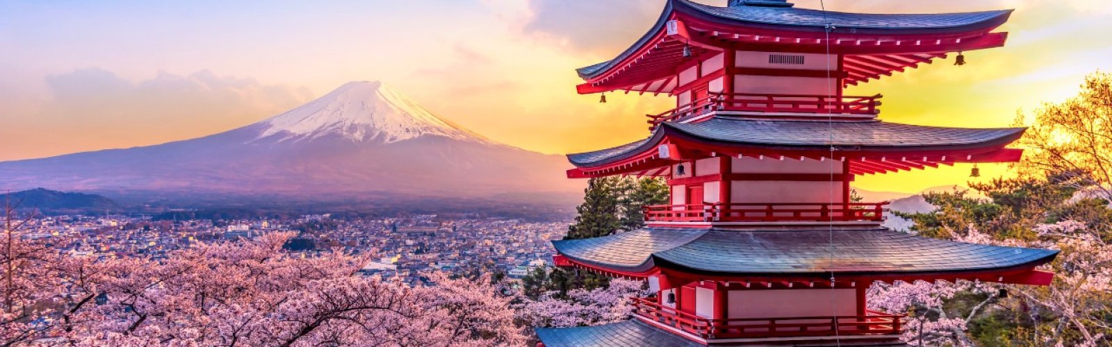 Japan v Wales 2025 ticket packages for Welsh rugby fans - Wales Summer Tour 2025 image