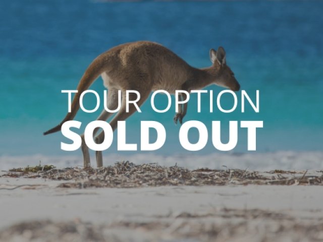Official British & Irish Lions Australia 2025 ticket packages to watch All Three Test matches - Wallaby Green image