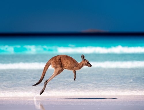 The Ashes 2025-26 official ticket packages with Sightseeing Excursions in Australia