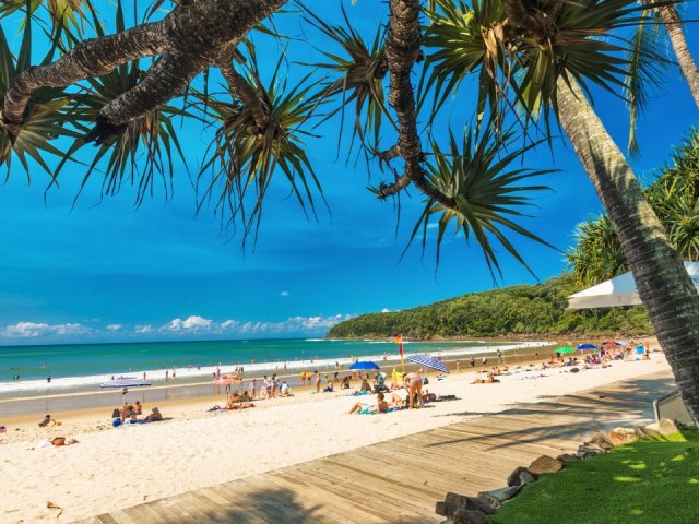 The British & Irish Lions Australia 2025 ticket package with Noosa extension Wallabies vs The Lions (1).jpg