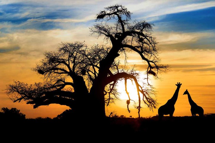 South Africa