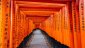 Wales Summer Tour to Japan 2025 ticket package for both Test matches - image