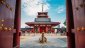 Wales Summer Tour to Japan 2025 ticket package to watch both Test matches - image