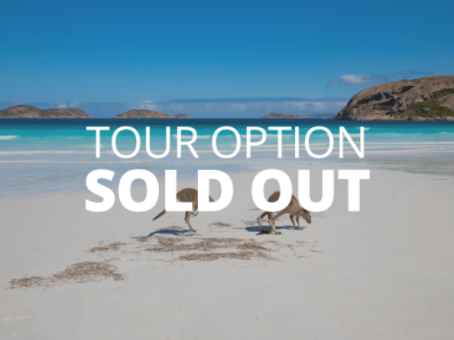 Official British & Irish Lions 2025 – All Three Tests – The Explorer Tour image