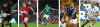 2015 Rugby World Cup